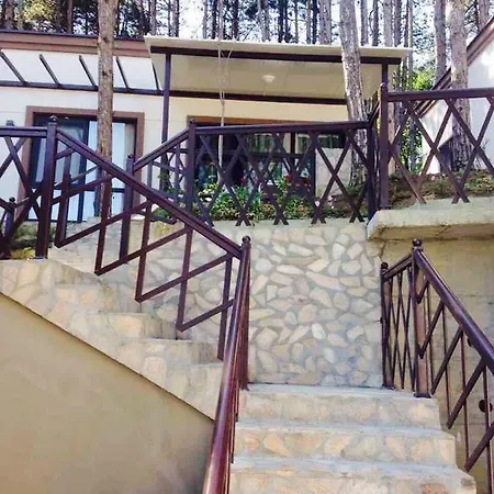 Campingplatz Dream View *