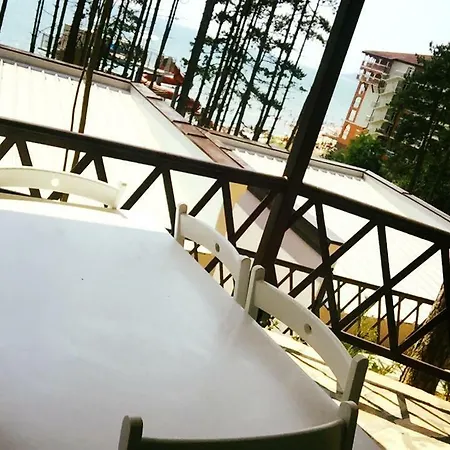 Dream View بايالا