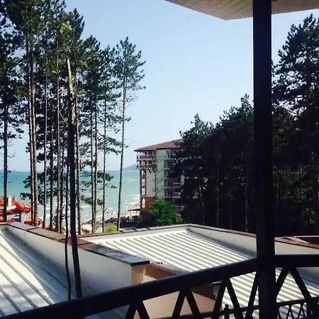 Dream View *