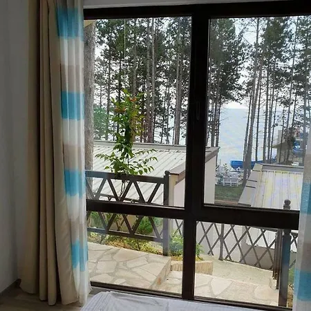 Dream View *