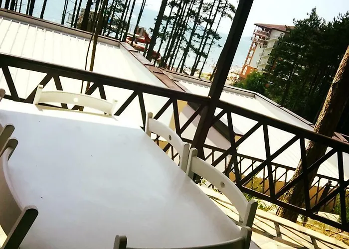 Dream View 比亚拉