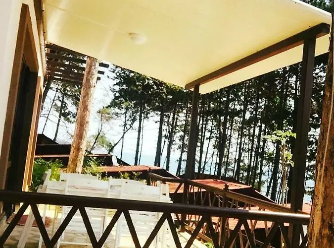 Dream View 比亚拉