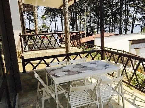 Dream View * 比亚拉