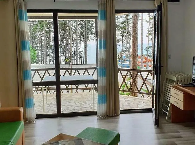 Dream View * 比亚拉