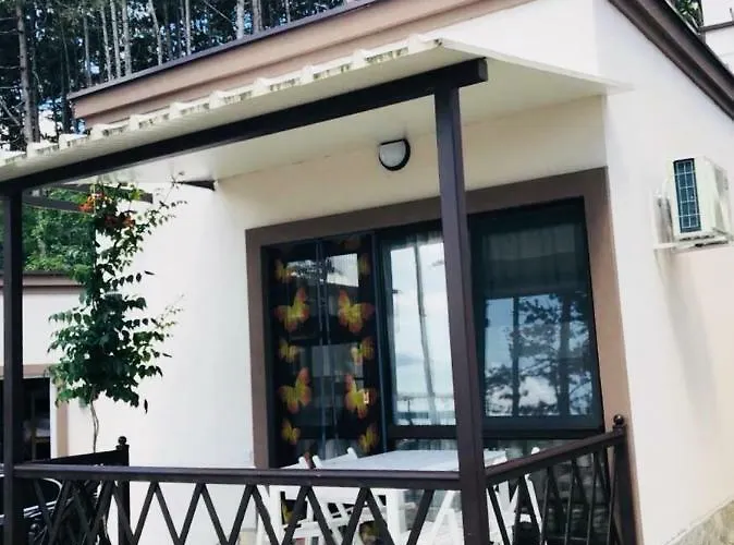 Dream View 比亚拉